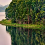 3-Day Bwindi & Lake Bunyonyi Mid-Range Safari
