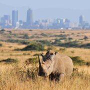 6-Day Breathtaking Views of Kenya's National Parks